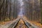 Railroad single track through the woods in autumn. Fall landscape. red semaphore signal