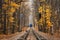 Railroad single track through the woods in autumn. Fall landscape. red stop semaphore signal. Last railway carriage of blue train