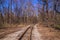 Railroad single track through the woods in early spring. Bright fresh spring landscape, no leaves yet, blue sky