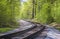 Railroad single track through the woods in spring. Bright green fresh spring landscape