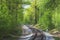 Railroad single track through the woods in spring. Bright green fresh spring landscape
