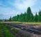 Railroad summer day with green grass and trees