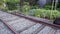 Railroad Track Community Garden