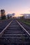 Railroad Track in the Evening