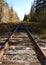 Railroad track with wilderness vanishing point