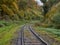 Railroad tracks in the autumn forest. A railroad bend through the woods in the German town of Ratingen in NRW