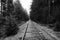 Railroad tracks in black and white