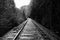 Railroad tracks in black and white