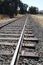 Railroad tracks in California leading to a distant point