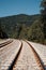 Railroad Tracks Disappear into the Horizon