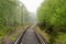 Railroad tracks through the forest in spring