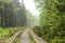 Railroad tracks through the forest in spring. Natural bakground