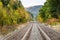 Railroad Tracks Lined with Trees