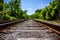 Railroad Tracks nestled in the woods with metal rocks gravel woo