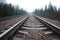 The railroad tracks pass through the wood. Cloudy gloomy day.