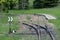 Railroad tracks stretches and green grass and trees. Railway road environment background..End of the rail.