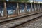 Railroad Tracks Surrounding by Graffitied Trestle