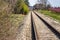 Railroad tracks toward the horizon along blossoming peach trees