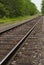 Railroad, train tracks in forest, toward horizon