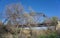 Railroad Trestle over Creek