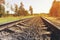 Railroad truck in the forest, perspective view.