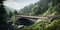 Railroad wooden train with valley bridge in forest mountain