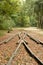 Railroads in the forest, Hungary