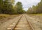 Railroads tracks in the forest