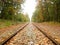 Rails through the forest in Autumn