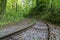 rails for an old  idle loren train in the forest