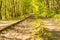 Rails overgrown with green grass