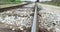 The rails of the train wrapped in grass and wildflowers that grow from stones.