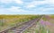 Railway in the blooming steppe