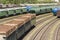 Railway cars loaded with forest, the train transports trees. Many different cars