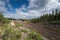 Railway with a curve into a wooden landscape