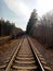 The railway in the distance in the spring forest. Rails in perspective.