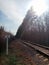 The railway in the distance in the spring forest. Rails in perspective.