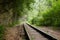 railway in the forest, summer in the rainforest