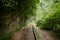 railway in the forest, summer in the rainforest