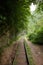 railway in the forest, summer in the rainforest