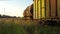 Railway freight cars and tank cars on tracks overgrown with grass