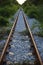 Railway goes to horizon in green landscape