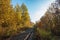 Railway golden autumn fall