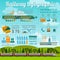 Railway infographic. Set elements for creating your own infographics