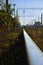 Railway landscape. Many railroad cars and tanks standing in rail