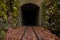 Railway leading to a dark and narrow tunnel, surrounded by moss-covered rocks