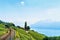 Railway line at Lavaux Vineyard Terraces Lake Geneva Switzerland