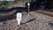 Railway markers