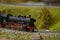 Railway model with steam locomotive and landscape details