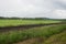 Railway passing by in front of fields